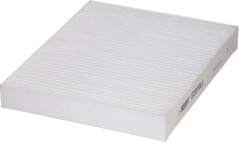 Kabínový filter HENGST FILTER E2910LI