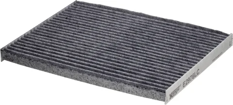 Kabínový filter HENGST FILTER E2976LC