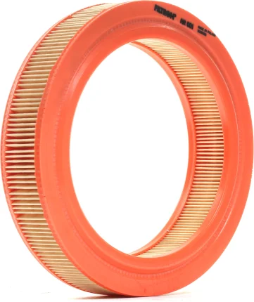 Vzduchový filter FILTRON AR 001