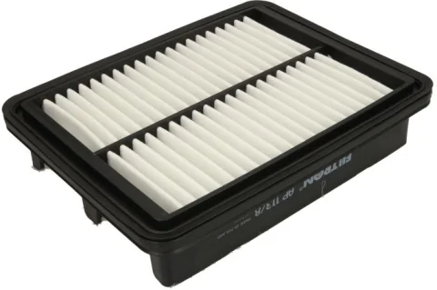 Vzduchový filter FILTRON AP 113/8