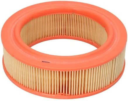 Vzduchový filter FILTRON AR 219