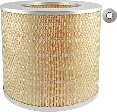 Vzduchový filter BALDWIN FILTERS PA1621-2