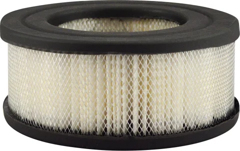 Vzduchový filter BALDWIN FILTERS PA1832