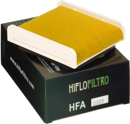Vzduchový filter HIFLOFILTRO HFA2503