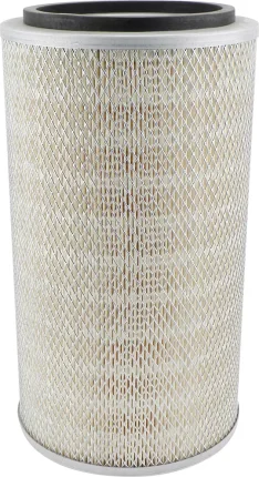 Vzduchový filter BALDWIN FILTERS PA5503