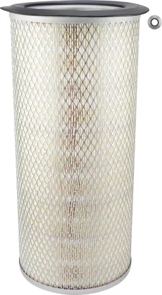 Vzduchový filter BALDWIN FILTERS PA2431