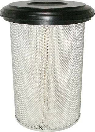 Vzduchový filter BALDWIN FILTERS PA2847