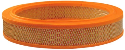 Vzduchový filter FILTRON AR 363