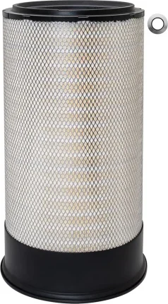 Vzduchový filter BALDWIN FILTERS PA2456