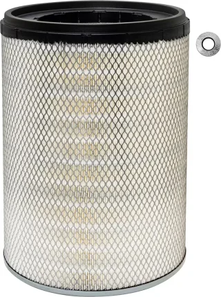 Vzduchový filter BALDWIN FILTERS PA3699