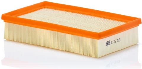 Vzduchový filter MANN FILTER C 25 009