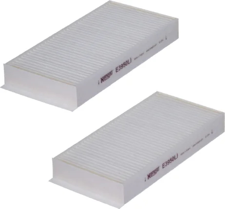 Kabínový filter HENGST FILTER E3950LI-2