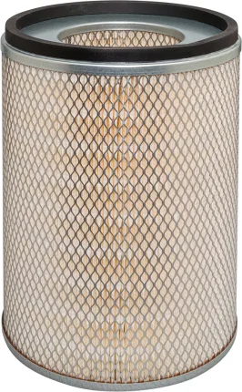 Vzduchový filter BALDWIN FILTERS PA1615