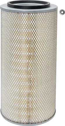 Vzduchový filter BALDWIN FILTERS PA2475