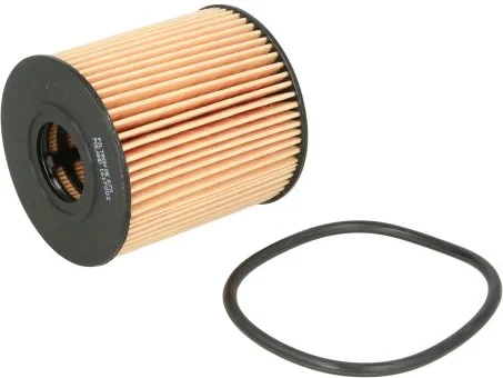 Olejový filter FILTRON OE 673