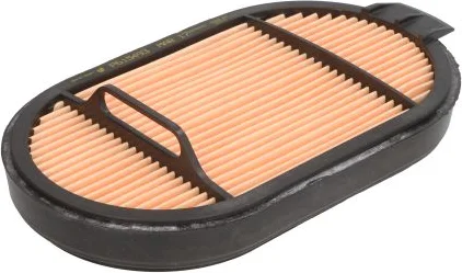 Poistný filter DONALDSON P615493