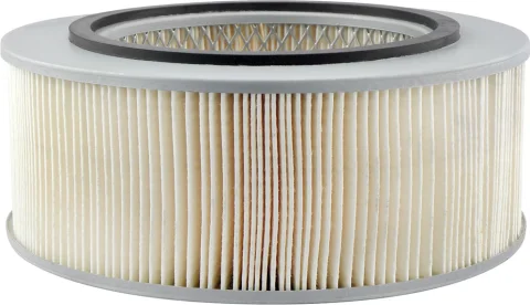 Vzduchový filter BALDWIN FILTERS PA5563